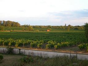 blick beim Aufstehen