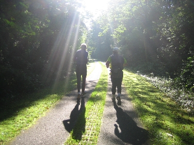 Der Sonne entgegen